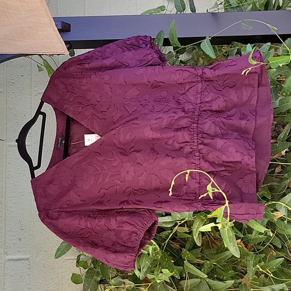 Plum Faux Wrap Ruffle Ann Taylor Blouse Womens Size Large - Picture 3 of 10